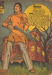 Bahdur the Red Bricks House (Aabid Surti)