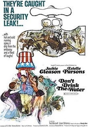 Don't Drink the Water (1969)