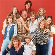 The Bradford Famiily - Eight Is Enough