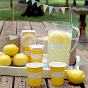 Set Up a Lemonade Stand