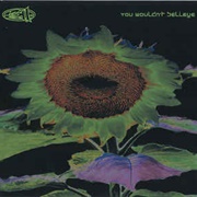 You Wouldn't Believe - 311