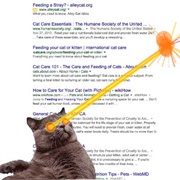 Get Laser-Cat Add-On