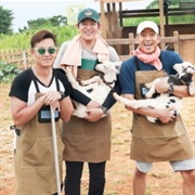 Three Meals a Day Sea Ranch