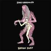 Chad Vangaalen - Shrink Dust