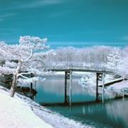 Chicago Botanical Garden