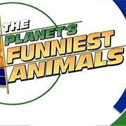 The Planet's Funniest Animals