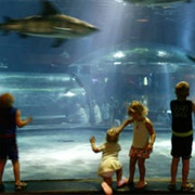 Oklahoma Aquarium