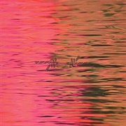 Silverstein - Dead Reflection