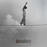 Incubus - If Not Now When? (2011)