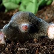 Find Out What Happens Under the Earth