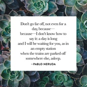 Don't Go Far Off, by Pablo Neruda