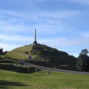 One Tree Hill Walk - Easy (2 Hours)