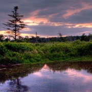 Canaan Valley National Wildlife Refuge