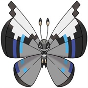 Vivillon (Monsoon Pattern)