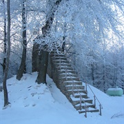Belgium - Signal De Botrange - 694M