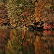 Tar Hollow State Park, Ohio