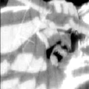 Electromagnetic Creature