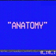 Anatomy