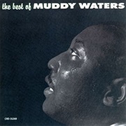 Muddy Waters - King of the Blues: The Best of Muddy Waters