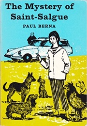 The Mystery of Saint-Salgue (Paul Berna)