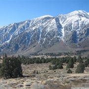 Mammoth Mountain Ski Area