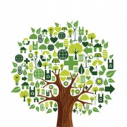 Help the Environment in a Big Way