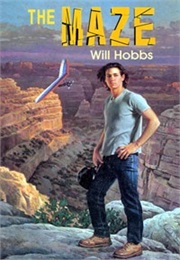 The Maze (Will Hobbs)
