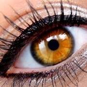 Amber Eyes