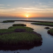 Pamlico Sound