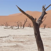 Hidden Vlei, Namibia