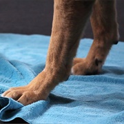 Wipe Paws