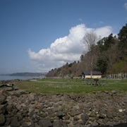 Saltwater State Park, Washington