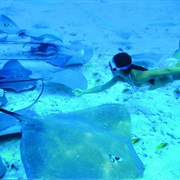 Hol Chan Marine Reserve