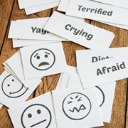 Which Emotions Have You Felt?