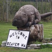 Beaver, Washington