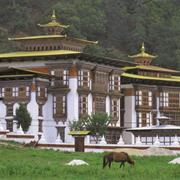 Chomo Lhari Trek, Bhutan