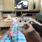 Spend a Rainy Day Watching Films in My PJ's