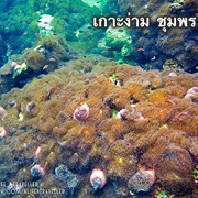 Koh Ngam, Chumphon   Credit: Alifeatraveller