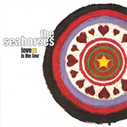 Love Is the Law - Seahorses