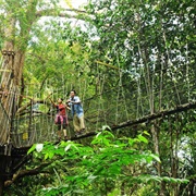 Penang National Park, Malaysia
