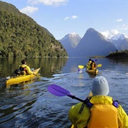 Go Kayaking in Fiordland, New Zealand