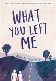 What You Left Me (Bridget Morrissey)