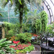 Find Respite in Changi Airport's Butterfly Garden