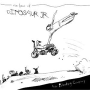 Dinosaur Jr - Ear Bleeding Country