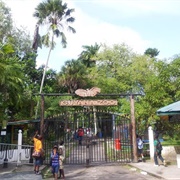 Botanical Gardens Zoo of Georgetown, Guyana