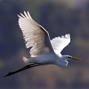 Circeo National Park, Italy