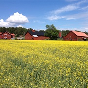 Uppland