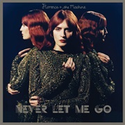 Never Let Me Go - Florence + the Machine