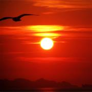 Okay--Let's Just Take a Moment and Get Back on Track Here.