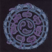 Evan Marc & Steve Hillage - Dreamtime Submersible